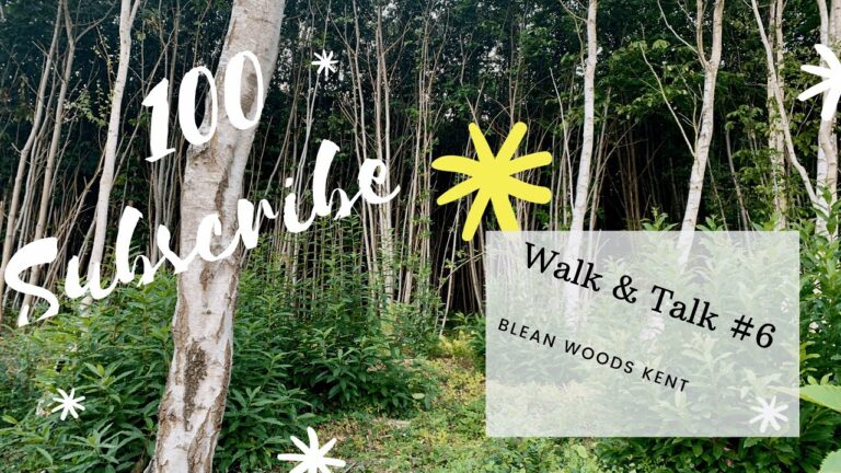 100 Subs | New Logo | Whats Coming Next | Blean Woods | Walk & Talk #6