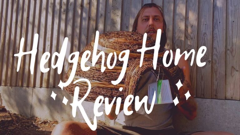 Wildlife World Igloo Hedgehog House Review