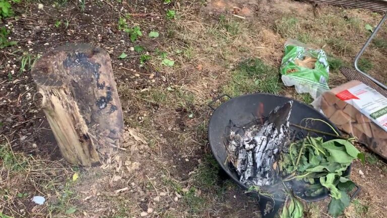 Look How Fast A Wild Fire Can Spread | Be Careful | Fire Spreads By Ember and Wind