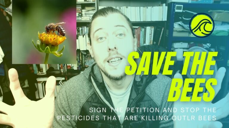 Save The Bees from Neonicotinoids Pesticides – Sign The Petition