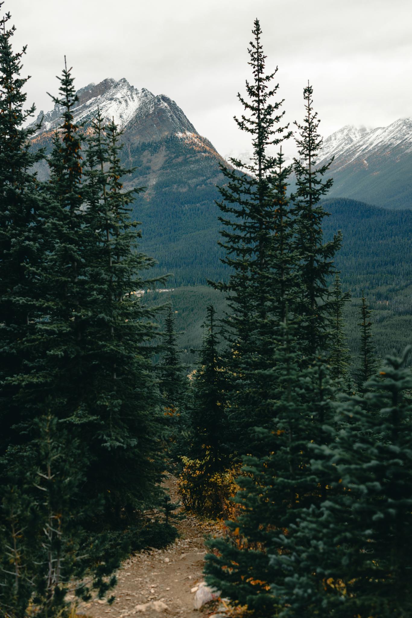Captivating view of mountains and forest creating a peaceful natural landscape. Ideal for nature and travel enthusiasts.