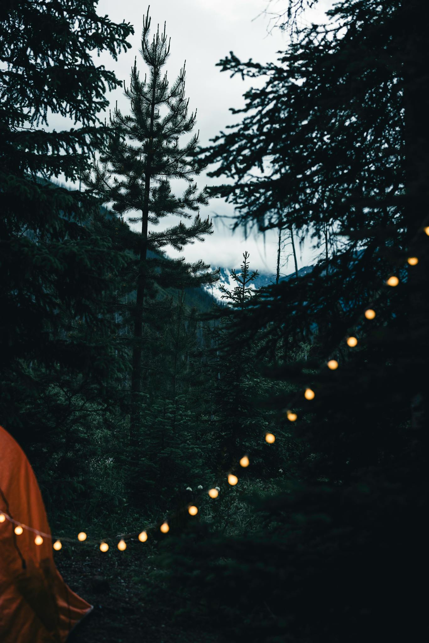 Enchanting night camping in Banff forest with string lights illuminating the trees.