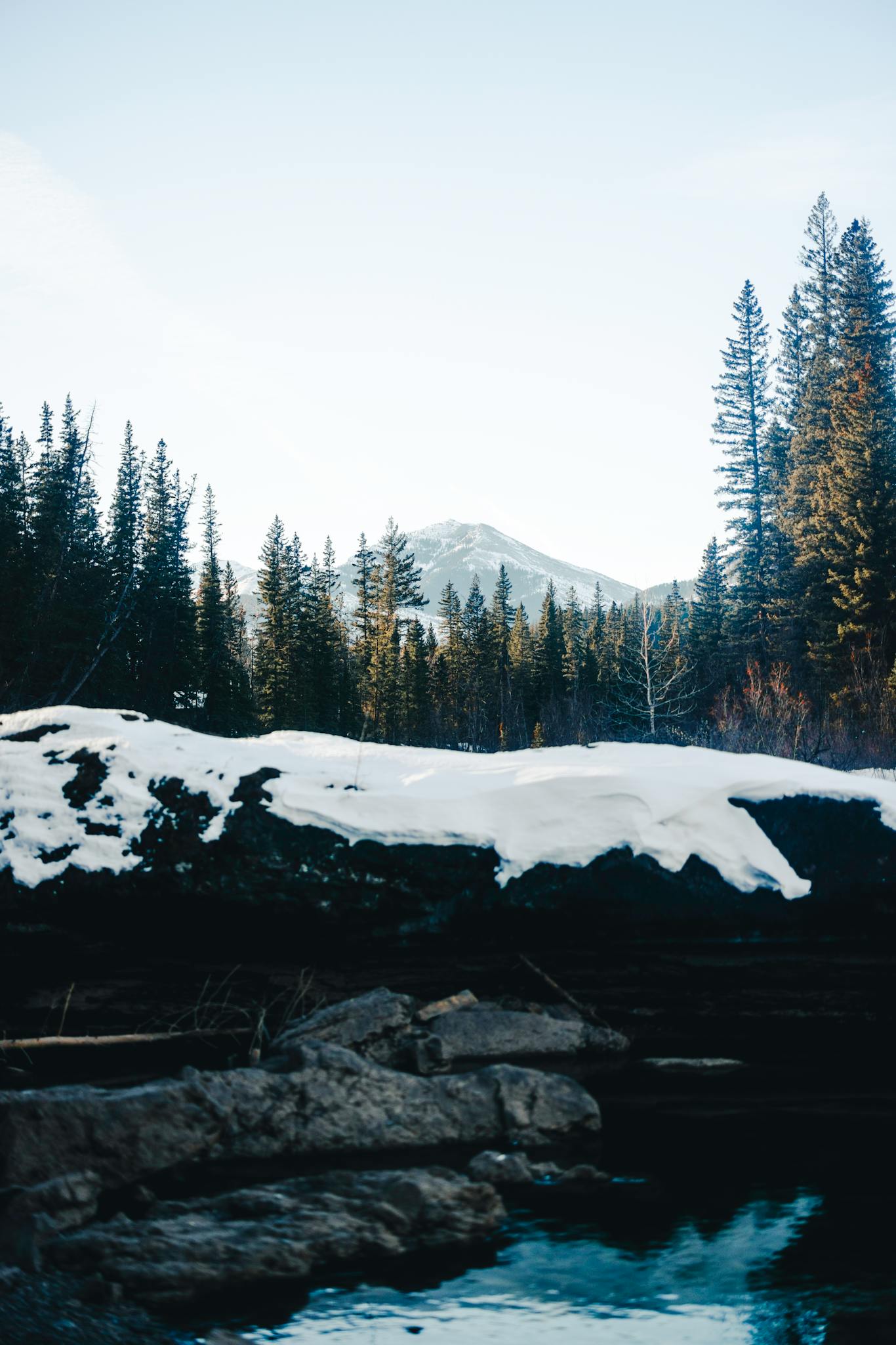Serene view of a snow-covered mountain with an evergreen forest in Canada.