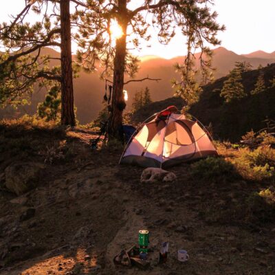 Tent nestled in forested mountains at sunrise, capturing the serene beauty of camping outdoors.